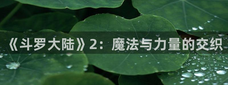 漫蛙漫画在线登录入口网站：《斗罗大陆》2：魔法与力量的交织