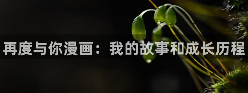 漫蛙manwa防走失：再度与你漫画：我的故事和成长历程