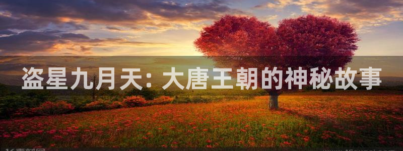 漫蛙app正版官网链接：盗星九月天: 大唐王朝的神秘故事