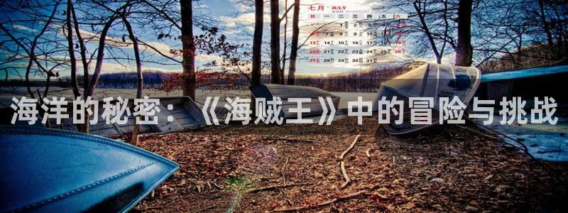 漫蛙漫画(网页入口)_：海洋的秘密：《海贼王》中的冒险与挑战